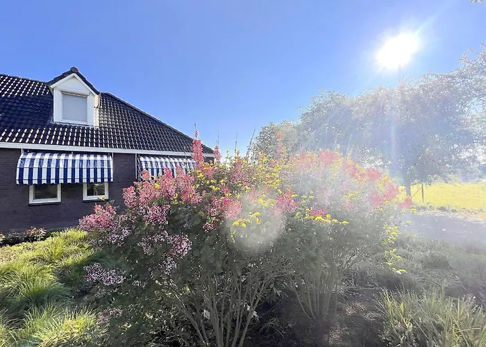 Tatil Evi Het Edelhert *